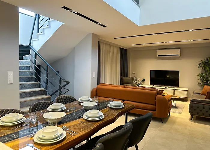 Nokta Vip D