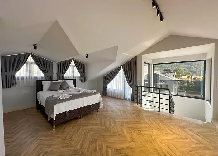 Nokta Vip D