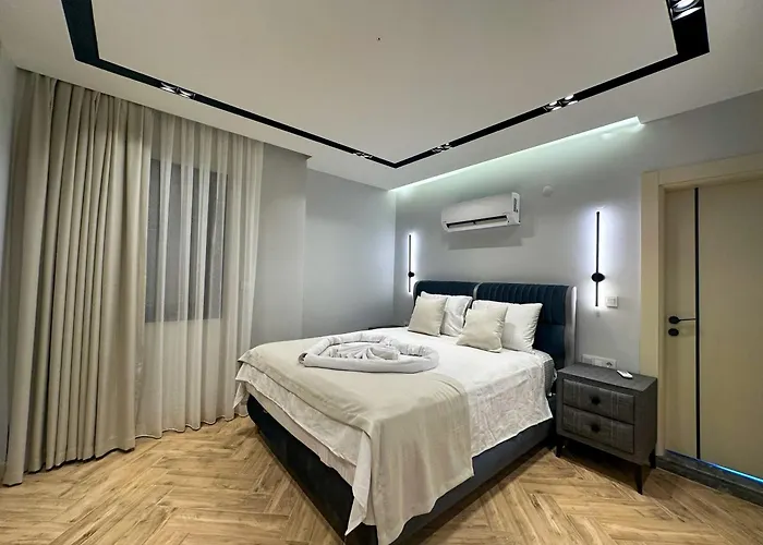 Nokta Vip D 费特希耶