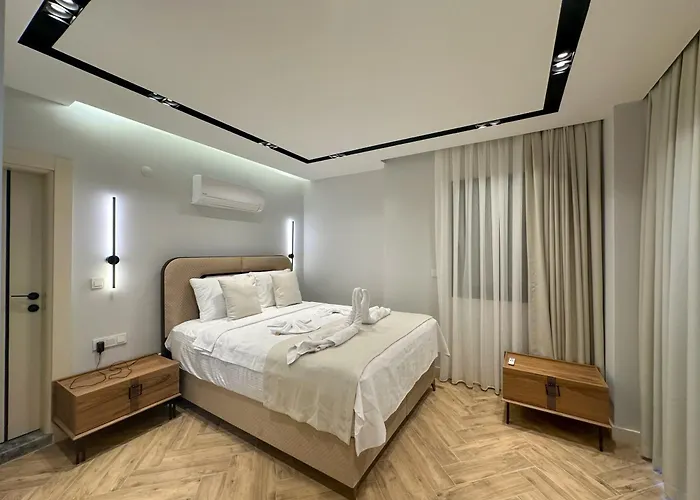 Nokta Vip D 费特希耶