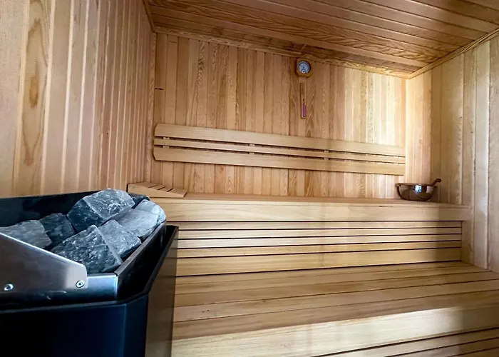 Nokta Vip D 费特希耶